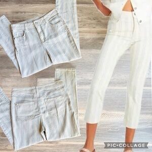 Anthropologie Pilcro Fleur High-Rise Slim Boyfriend Striped Jeans Size 29